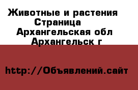  Животные и растения - Страница 16 . Архангельская обл.,Архангельск г.